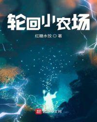 轮回小农场txt平板