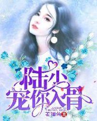 宠你入骨评价