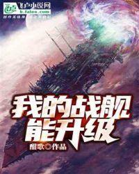 我的战舰能升级TXT八零