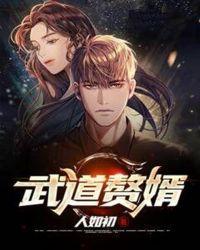 武道赘婿完本
