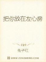 把你放在我心房什么歌