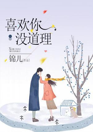 没道理全文免费阅读