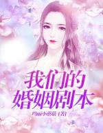 我们的婚姻电视剧全集