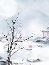 一念相思一念殇第十一章