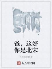 这好像是北宋