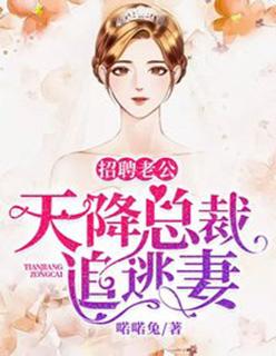 招聘老公天降总裁追逃妻
