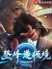 登峰造极境意思