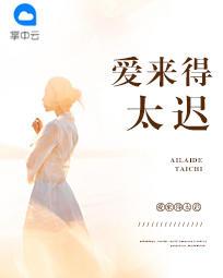 爱来的太晚歌词是什么意思