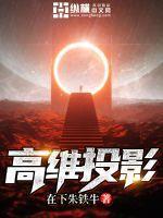 高维投影是什么