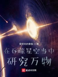吞噬星空体内世界是什么
