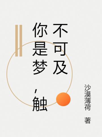 触不可及的梦 弦子