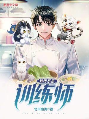 都市精灵这训练家不当也罢
