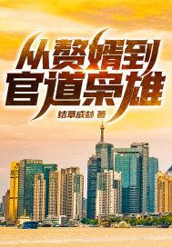 从赘婿到官道枭雄无删减