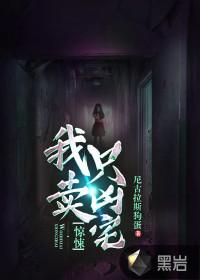 惊悚我只卖凶宅主角的缺陷是什么