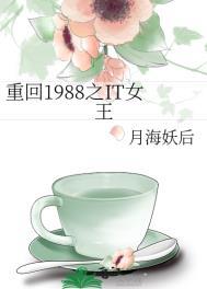 重回1988之IT女王有男主么