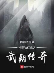 神探狄仁杰武朝迷案完整版