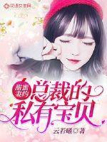 甜蜜妻约总裁的私有宝贝评论