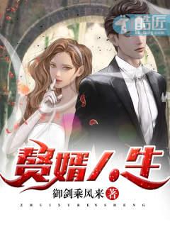 赘婿人生陈阳沈月