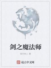 剑盾怎么做魔法师