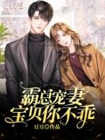 霸总疼老婆宠宝贝陵莫深
