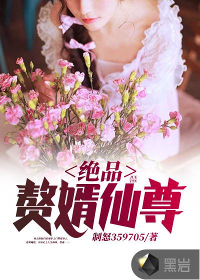 绝品神医赘婿