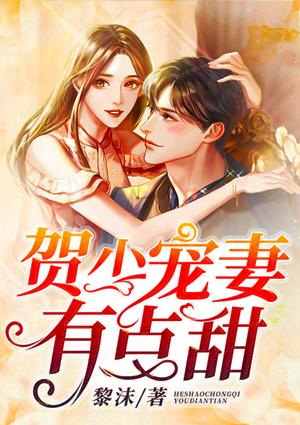 贺少宠妻有点甜祈如影