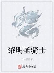 英雄黎明骑士阵容