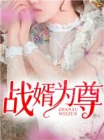 战神王婿陈苍生免费全本阅读