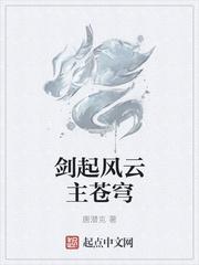 剑起风云主苍穹免费