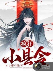 疯狂小县令免费阅读