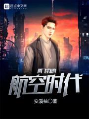 腾飞我的航空时代TXT
