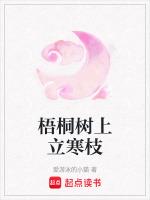 宇智波攻略手札